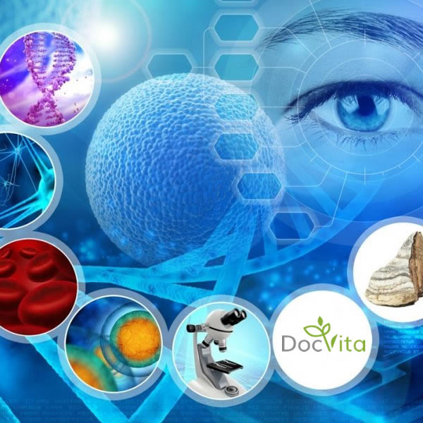 Collage aus wissenschaftlichen und medizinischen Motiven mit DNA-Strängen, Zellen, Blutkörperchen, einem Mikroskop, einem menschlichen Auge und dem DocVita-Logo – symbolisiert die Verbindung von Natur und Forschung.